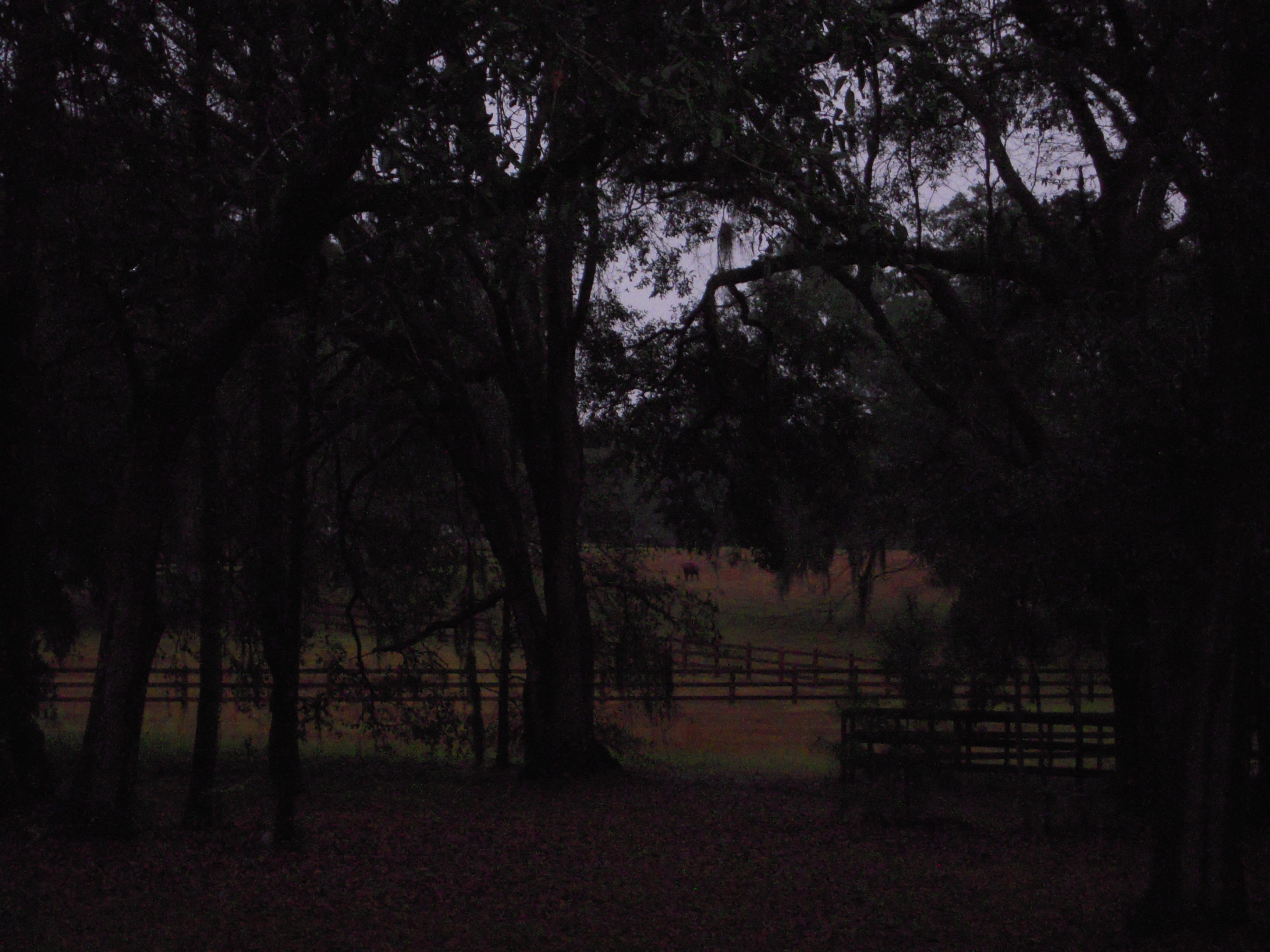 Dry view from the south Georgia room...