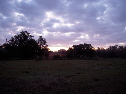 Here comes the sun...