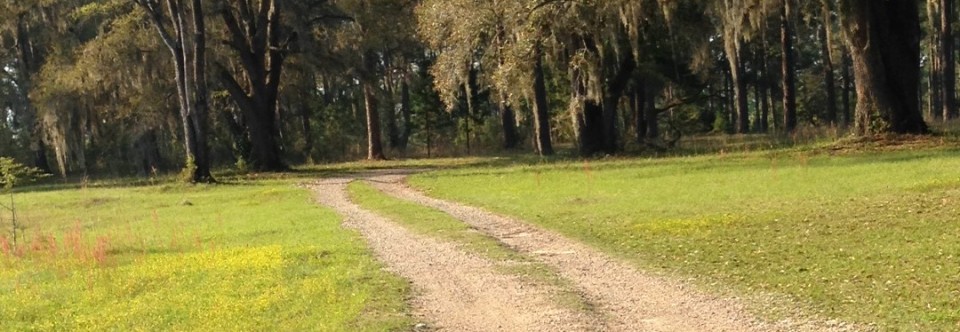 The Gentleman Farmer