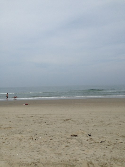 a boy and his dog...