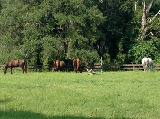 blissfully unaware...