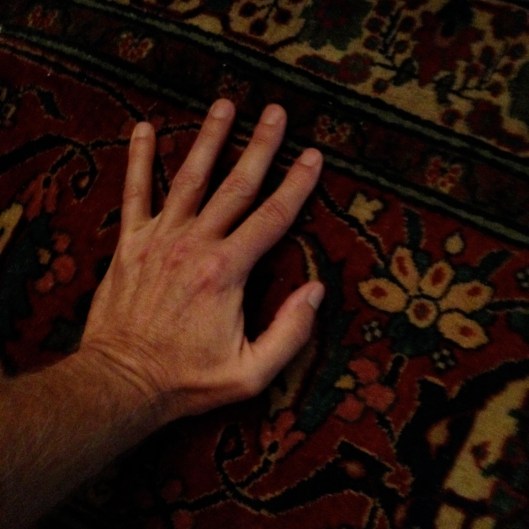 view from a pushup...